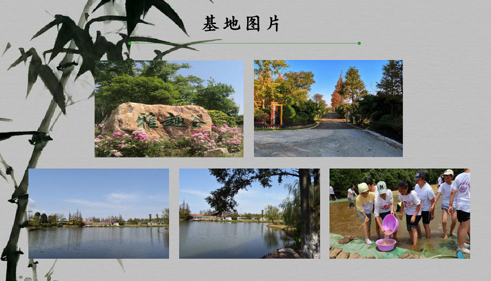 86d0bf62724a3c75ef4e79ef80d430f.png