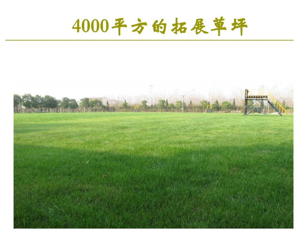 95f4d96ac09f4a8057dd7d50e7abb9f.png